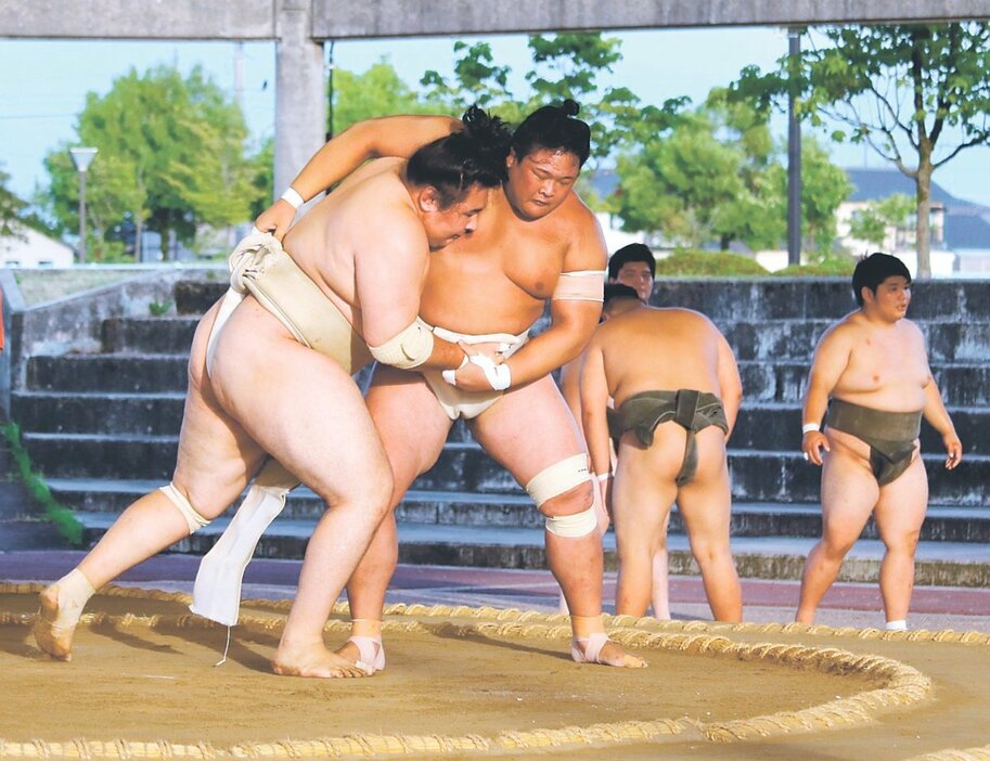 ぶつかり合う欧勝馬（左）と欧勝海＝グリーンパークだいもん相撲場