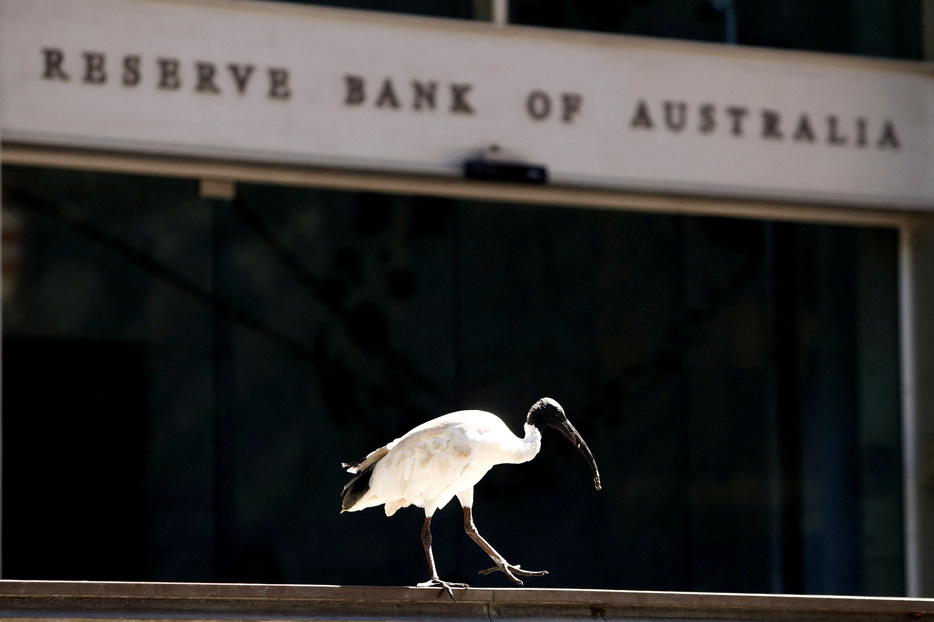 オーストラリア準備銀行（ＲＢＡ）のアンドリュー・ハウザー副総裁は２７日、金融政策には単月のインフレ指標以外にも考慮すべき点があるとし、金利と経済の見通しは依然として不透明と述べた。２０１８年２月撮影（２０２４年　ロイター/Daniel Munoz）