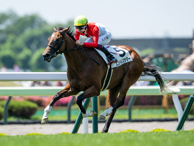 函館5Rの新馬戦を制したエンドレスサマー(撮影：山中博喜)