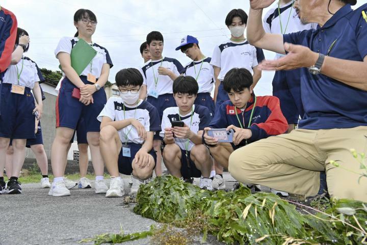 係留ロープに繁茂するクロキヅタを観察する宇和島東高生物部の生徒ら