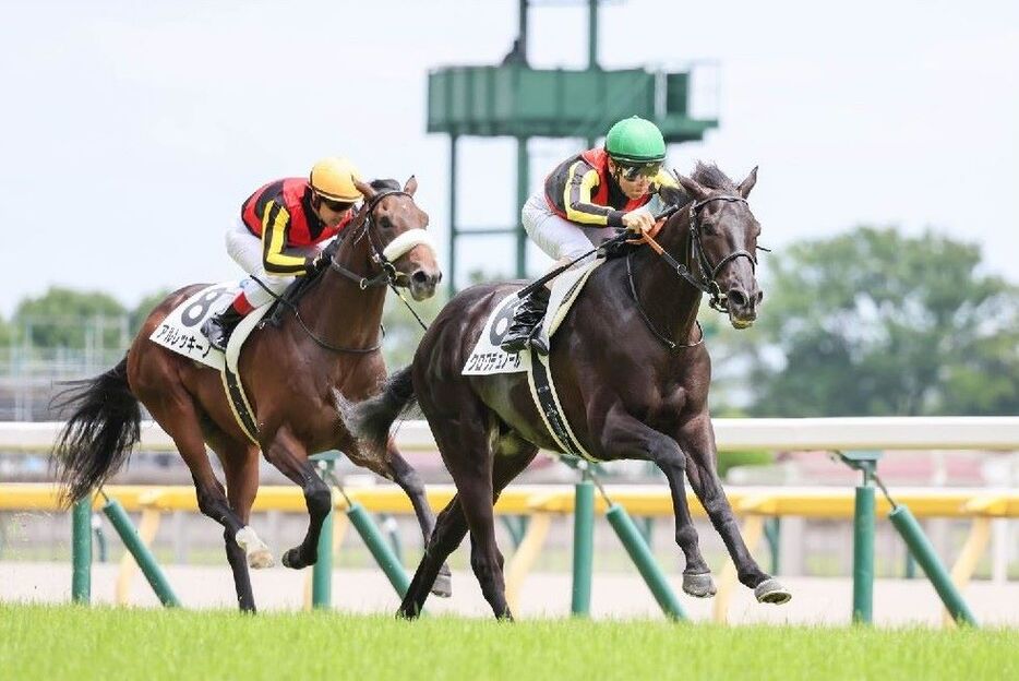 オークス馬の下とのマッチレースを制したクロワデュノール