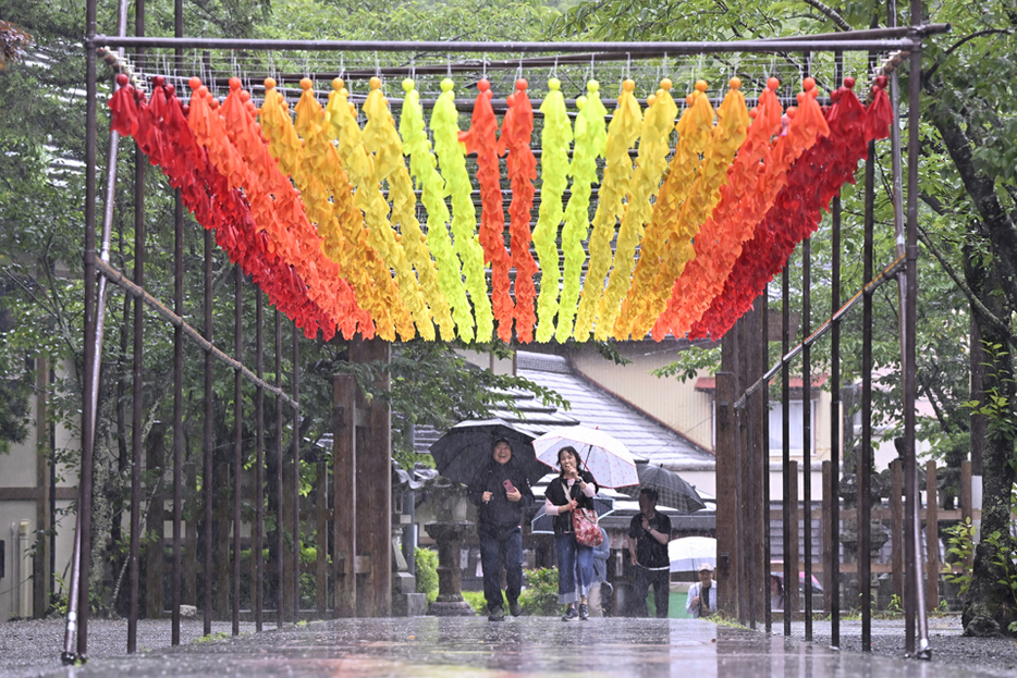 参道に飾り付けられたカラフルなてるてる坊主を傘をさして楽しむ人たち＝21日午前、袋井市の法多山尊永寺