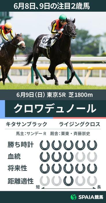 6月9日の注目2歳馬クロワデュノール