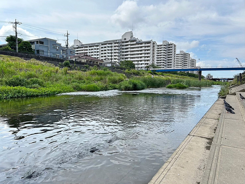 今でも母親と散歩をする思い出の風景。