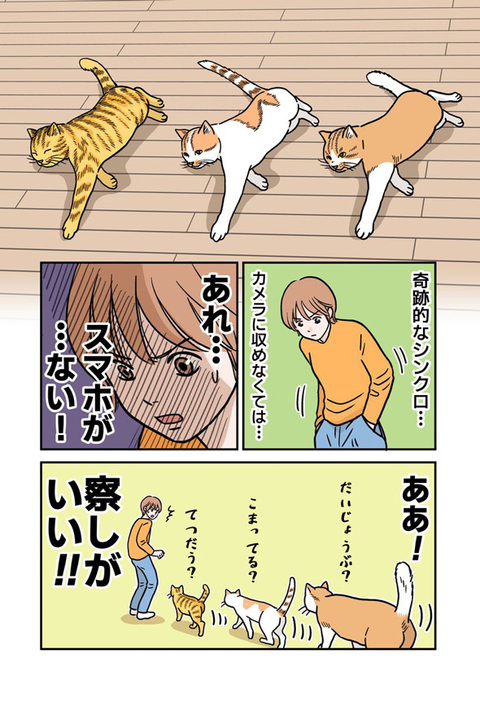 貴重なボーナスチャンスが……！　※1コマ目の猫ちゃんは、左から大吉くん・小吉くん・中吉くんです（作品提供：たなかふじもと／@tanaka_fujimotoさん）