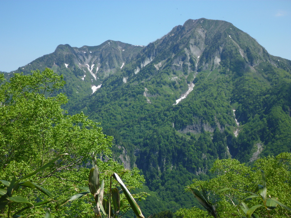 資料　高妻山