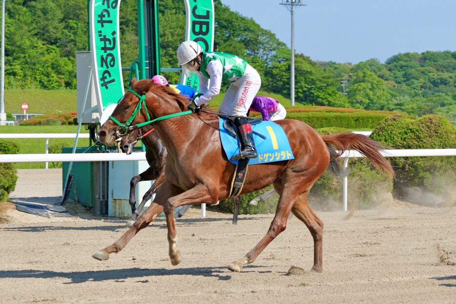 ドゲンシタトで勝利し、地方競馬通算1000勝を達成した竹吉徹騎手 (C)佐賀県競馬組合