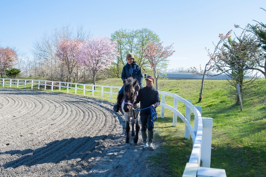 体験乗馬などができる「ライディングヒルズ静内」