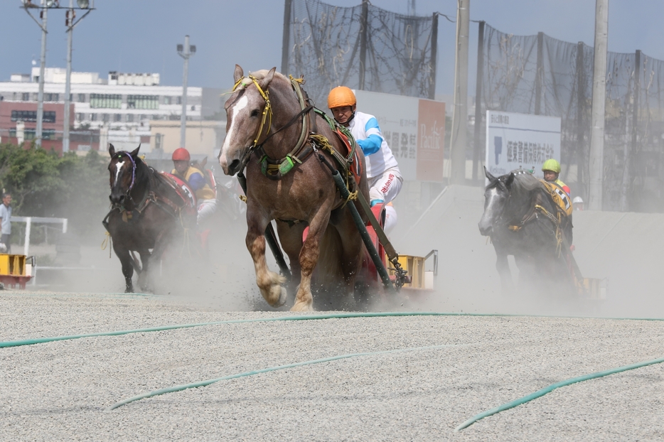 世界で唯一ばんえい開催競馬がされる帯広競馬場