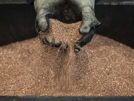 A worker handles copper shavings at a foundry. Photographer: Bloomberg Creative Photos/Bloomberg Creative Collection