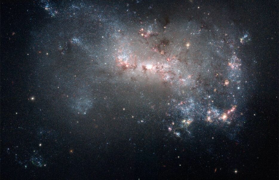 参考画像：「ハッブル宇宙望遠鏡」の掃天観測用高性能カメラ（ACS）で観測された不規則銀河「NGC 4449」