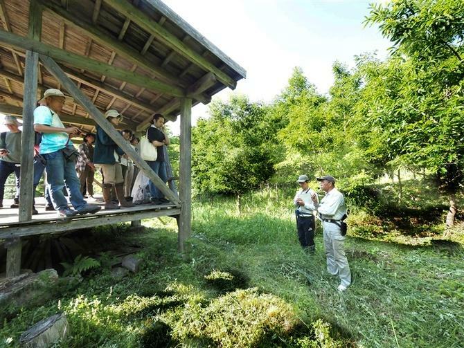 針広混交林づくりの試みが続く山中の現場を見学する、集いの参加者たち＝6月1日、福岡県八女市黒木町