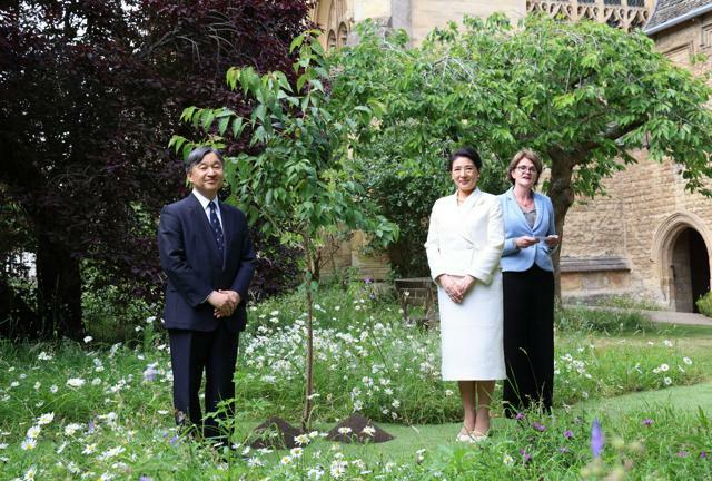 マートンカレッジで、桜の植樹に臨む天皇、皇后両陛下=2024年6月28日午後5時31分、英オックスフォード、代表撮影