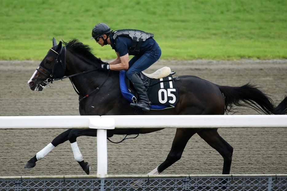 未勝利、リステッド戦の白百合Sと連勝してきたミナデオロ