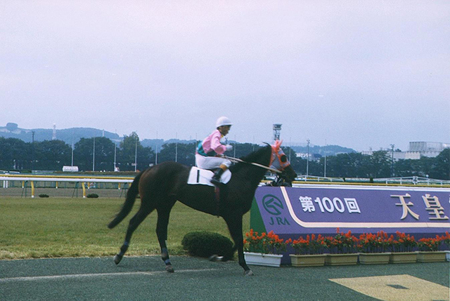 双子の競走馬の兄は日本ダービー馬であるアイネスフウジン(ユーザー提供：メタル69さん)