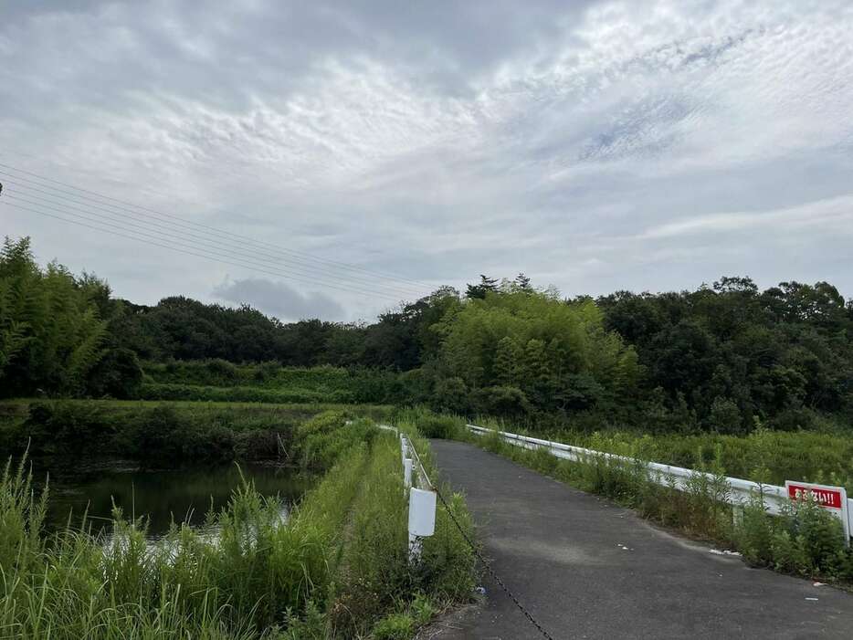 穂坂修ちゃんが遺棄された現場付近＝令和５年７月、神戸市西区平野町