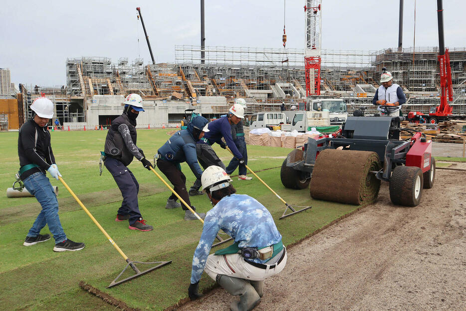 芝張り作業が行われる阪神2軍球場「日鉄鋼板SGスタジアム尼崎」（球団提供）
