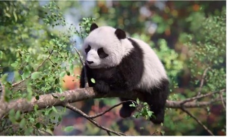 国家林業・草原局のウェブサイトで披露されたAIバーチャルパンダ（提供写真）。