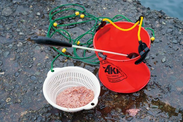 貸し竿セット。釣り竿と餌のコマセと呼ばれるアミエビ、撒き餌用スプーン、海水用バケツ等一式で2時間2,200円。