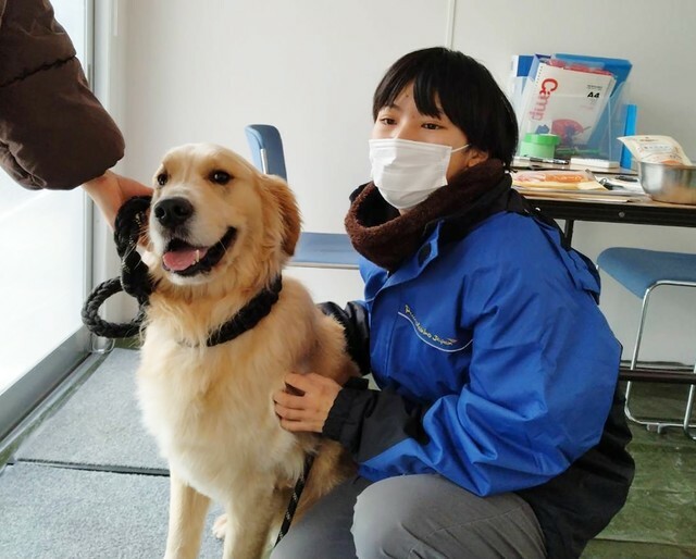 能登半島の被災地に2月に設置された「わんにゃんデイケアハウス珠洲」でお世話を受けるワンコたち