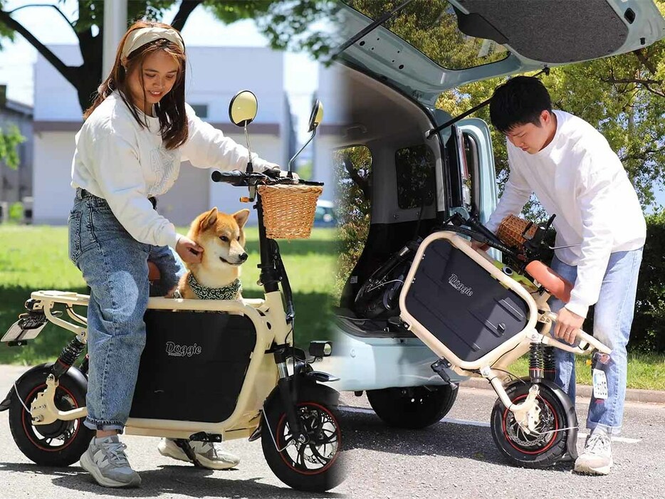 犬を乗せられる電動バイク「Doggie」の受注がスタート