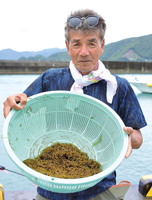 「上質なモズクができた」と胸を張るやけうち水産の前田尚登代表＝1日、鹿児島県宇検村平田