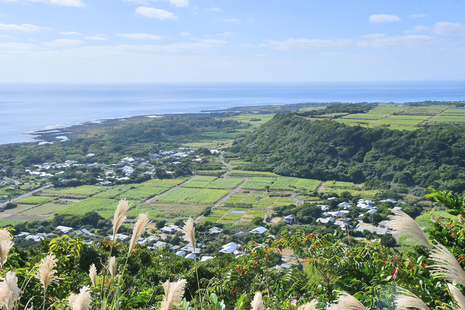 世界の「地質遺産100選」に選ばれた鹿児島県の喜界島。高台からはサンゴ礁段丘が一望できる＝2023年12月