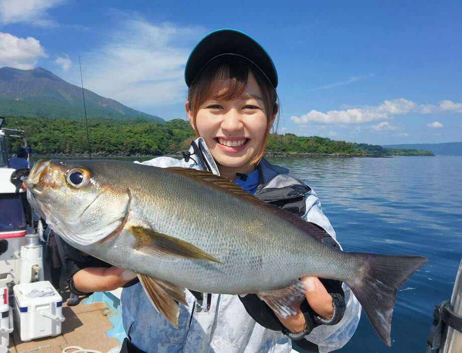 「ライトチョロ釣法」で釣り上げた旬のイサキ＝４日、桜島沖