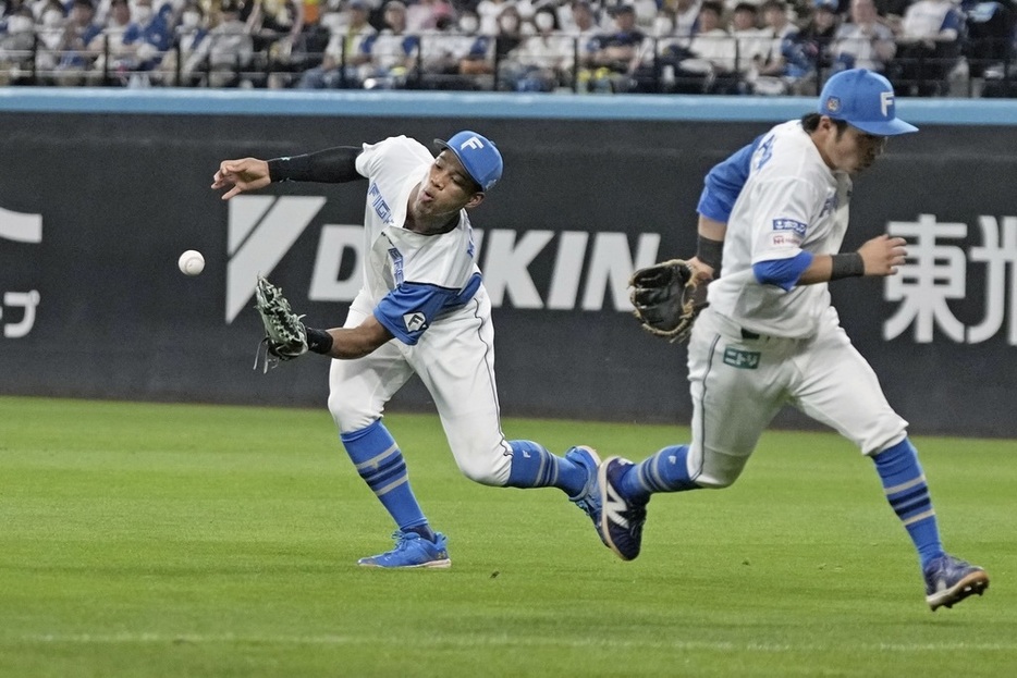 ３回巨人２死二塁、ヘルナンデスの飛球を日本ハムの右翼手万波が落球し、失点する。右は二塁手上川畑(C)Kyodo News