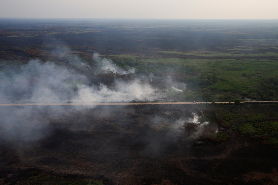 　ブラジル国立宇宙研究所（ＩＮＰＥ）の衛星データによると、同国にある世界最大級の湿地帯、パンタナル湿原で今年に入って発生した火災の数が昨年から１０倍近く増加している。昨年１１月撮影（２０２４年　ロイター/Amanda Perobelli）