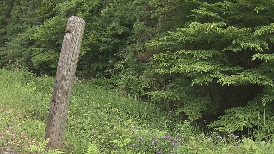 くま　クマ　熊　廿日市市　山中　