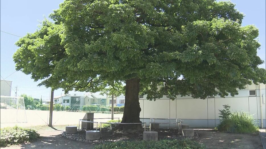 愛知県清須市の西枇杷島小学校