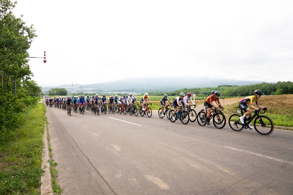 写真：Bicycle Club