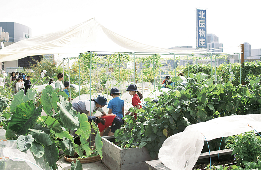 東京証券会館の屋上の一部は季節ごとの野菜を育てる菜園。種をまき、収穫して食べるまでを阪本小学校の児童自らが行い、その都度、ここで授業を行う。