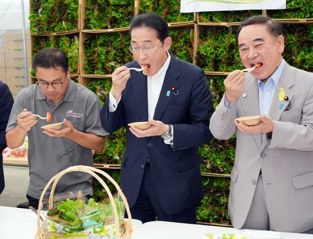 トマトの試食をする岸田文雄首相（中央）=2024年6月29日午後3時18分、山梨県北杜市のアグリサイト、代表撮影