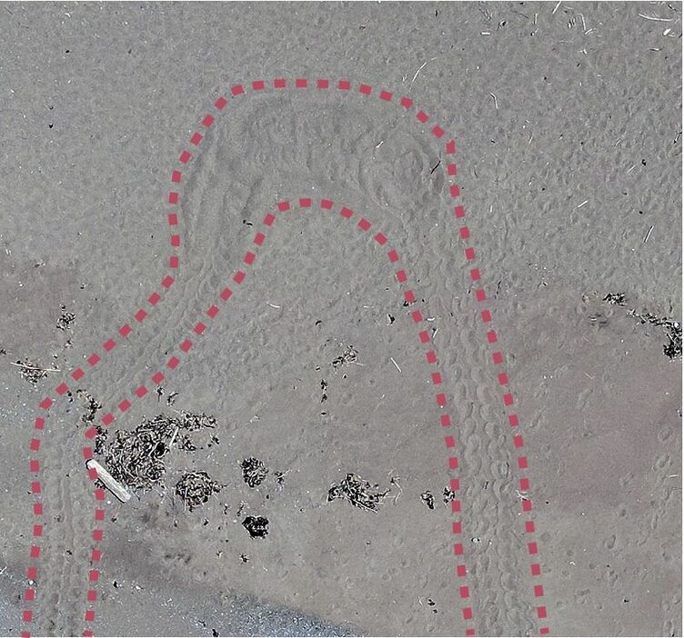 みなべ町山内で確認されたウミガメの上陸跡（２本の点線内）＝上空からドローンで撮影、和歌山県みなべ町教委提供