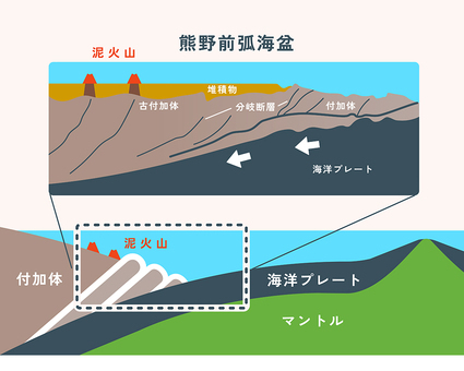 海底泥火山の模式図。付加体の深部で粘土鉱物から絞り出された水は、上昇し、ある場所で密度の軽い泥だまりを形成する。その泥だまりから海底に向かって間欠的に噴出するのが海底泥火山。（図版作成：酒井春）