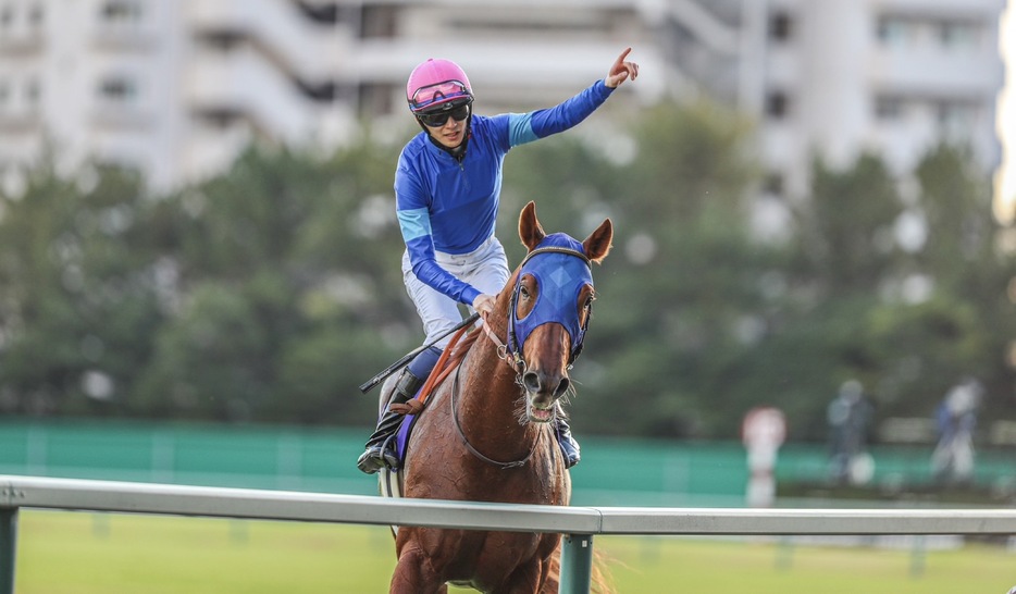 2023チャンピオンズC・レモンポップと坂井瑠星騎手 (C)Tatsuya Yamada