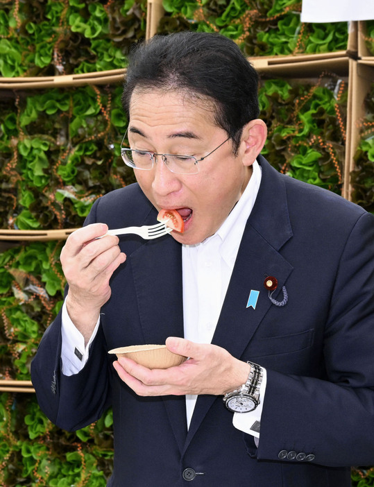 トマトを試食する岸田首相＝29日午後、山梨県北杜市（代表撮影）