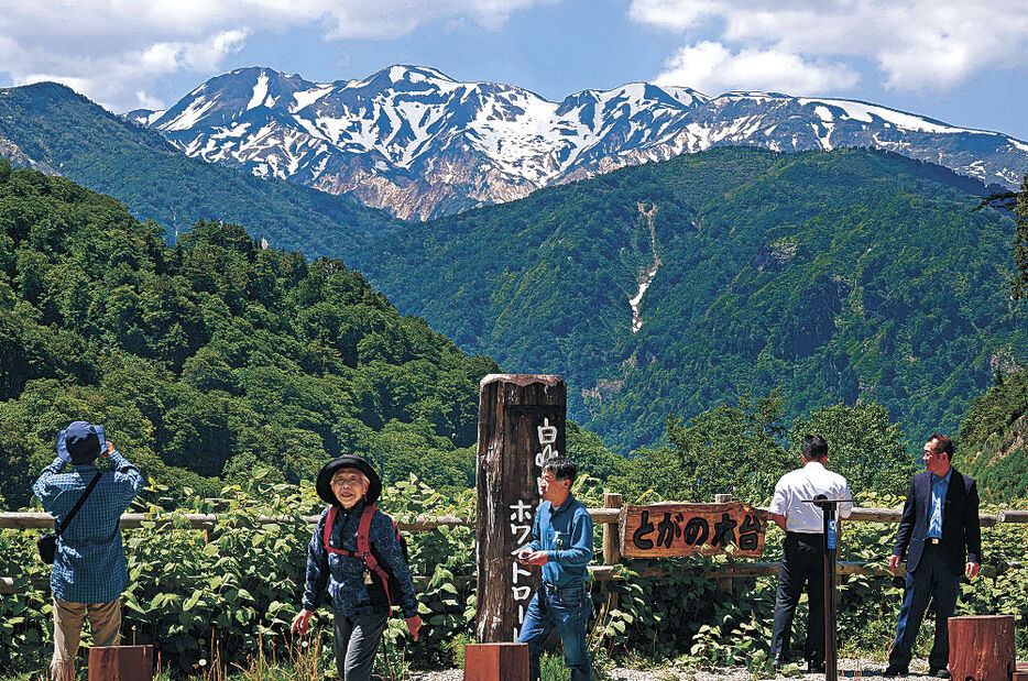 白山麓の風景を満喫する観光客＝白山市の白山白川郷ホワイトロード栂の木台駐車場