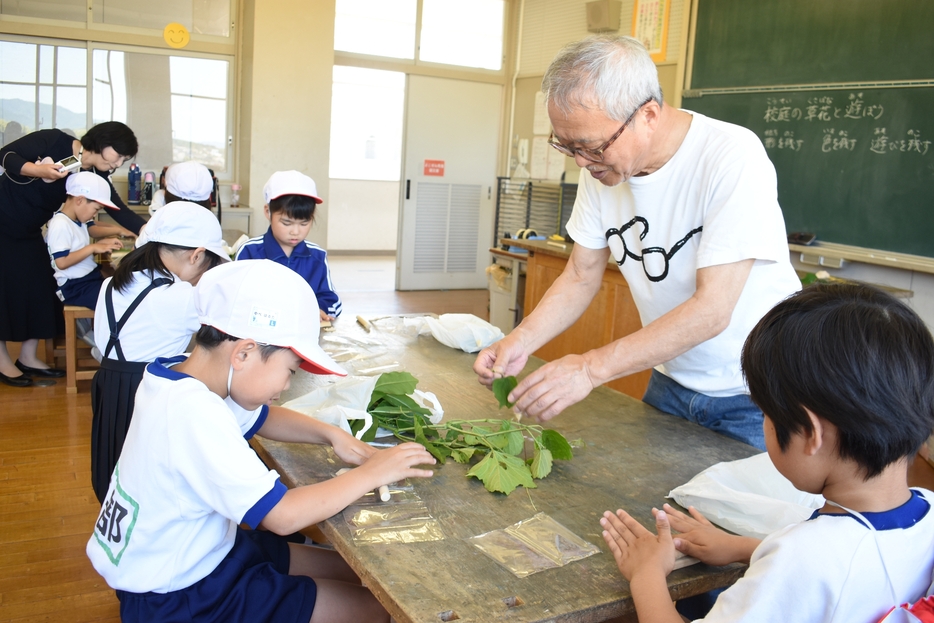 身近な植物を使って作品つくる児童=岡山県奈義町で