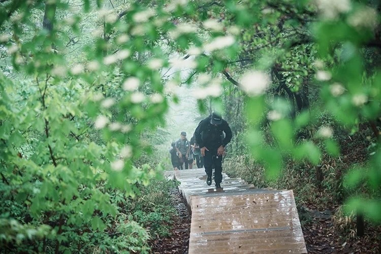 高尾山の山頂まで気持ちよくトレイルランニング