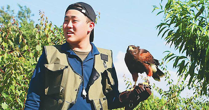 タカを飛ばすタイミングをうかがう鷹匠（たかじょう）（愛知県小牧市で）