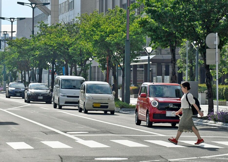 信号機のない横断歩道を渡る歩行者。車が一時停止する割合は改善されている＝24日、青森市（写真は一部加工しています）