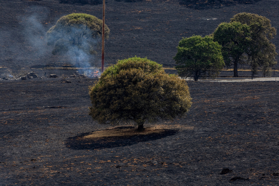 欧米で発生している山火事により地域住民が避難を余儀なくされている。１８日に米カリフォルニア州で撮影（２０２４年　ロイター/Carlos Barria）