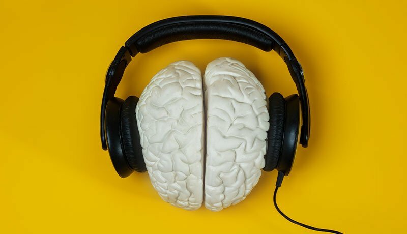 「聞く」のは脳の仕事である
