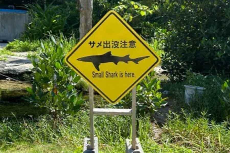 突然現れた「サメ出没注意」の看板【写真提供：まきのじさん】