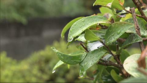 21日の静岡県内は全域で雨