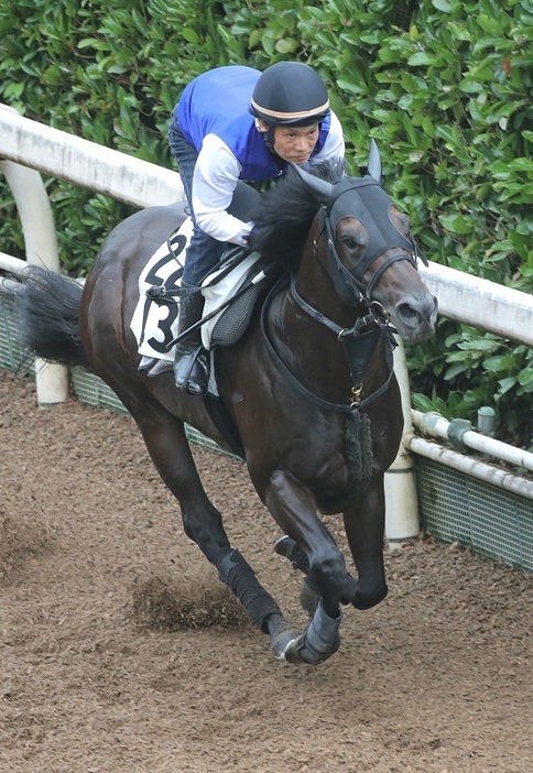 小倉3戦1勝ながらもその内容は“かなり濃い”ヨシノイースター