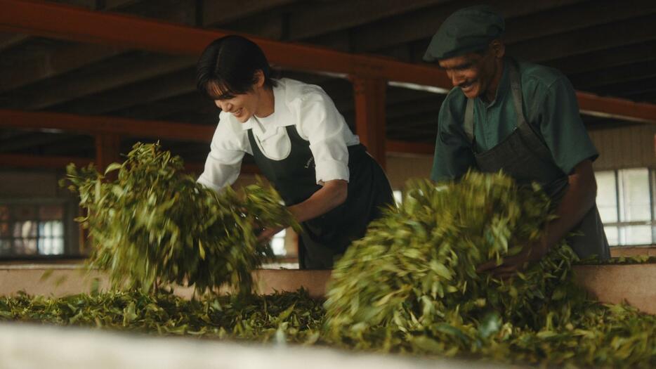 目黒蓮さんを起用した「午後の紅茶」の新CM「紅茶の聖地」篇